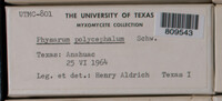 Image Associated With the Occurence